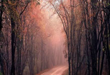 英超-萨拉赫破门加克波建功 利物浦4-2热刺.