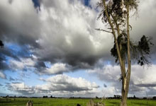 【回放】NCAA：密歇根大学vs奥本大学中文解说全场回放.