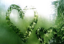 开云：周继红退休！回顾她1984年为中国夺得首枚奥运跳水金牌经典时刻.