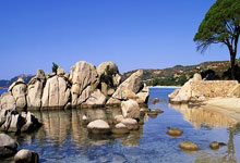 青年足总杯半决赛，曼联遭遇维拉，这一届青年梯队有啥看点？.